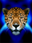 pic for jaguar  